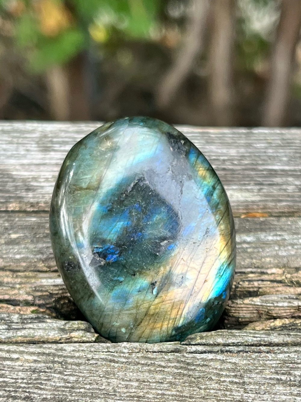 Labradorite Palm Stone - Iridescent Blue Green